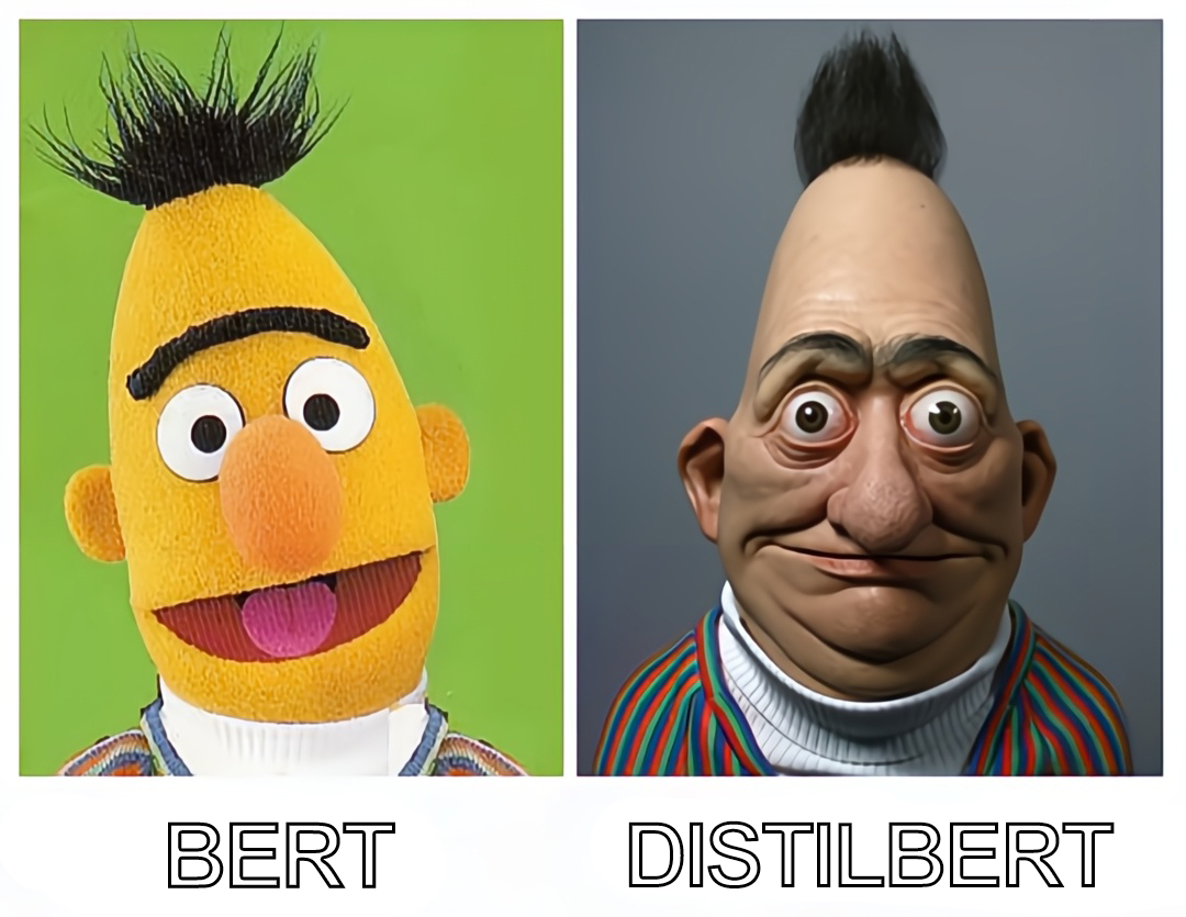 Bert and DistilBert
